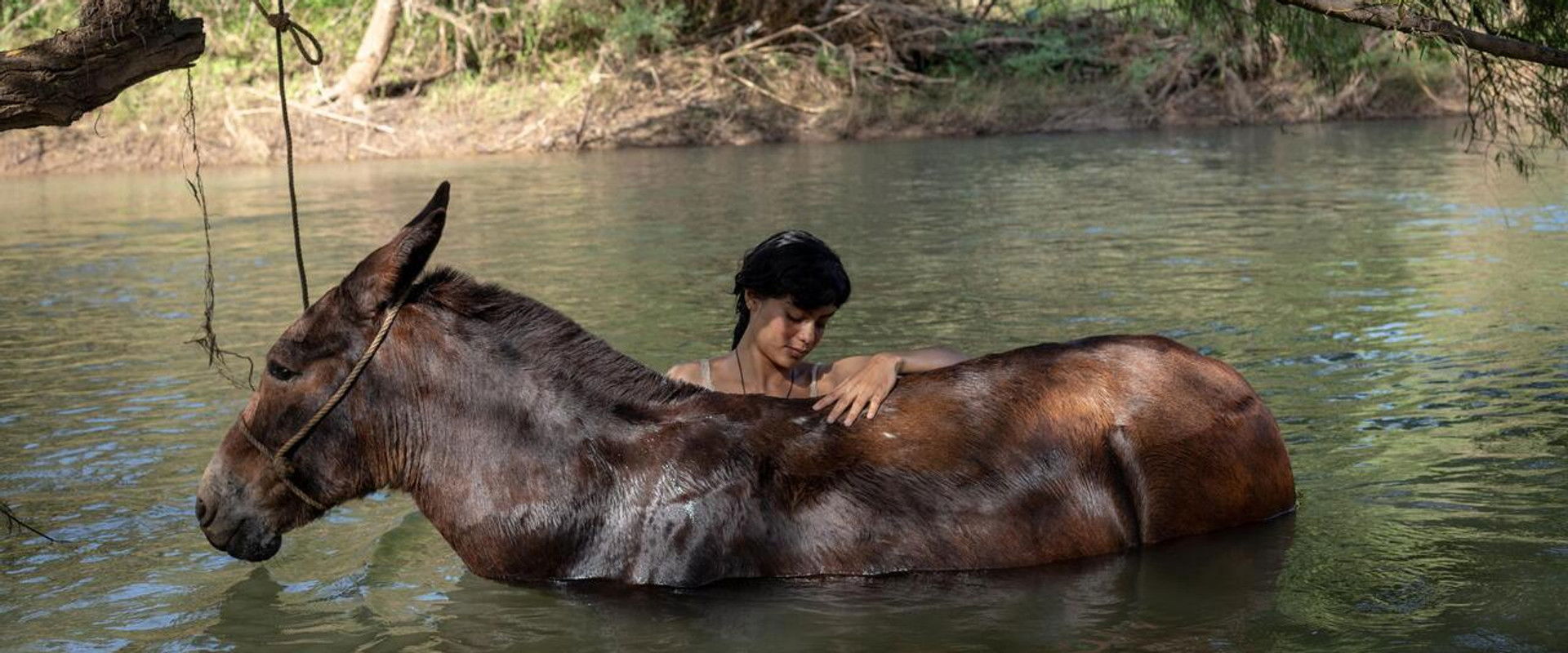 The Muleteer backdrop