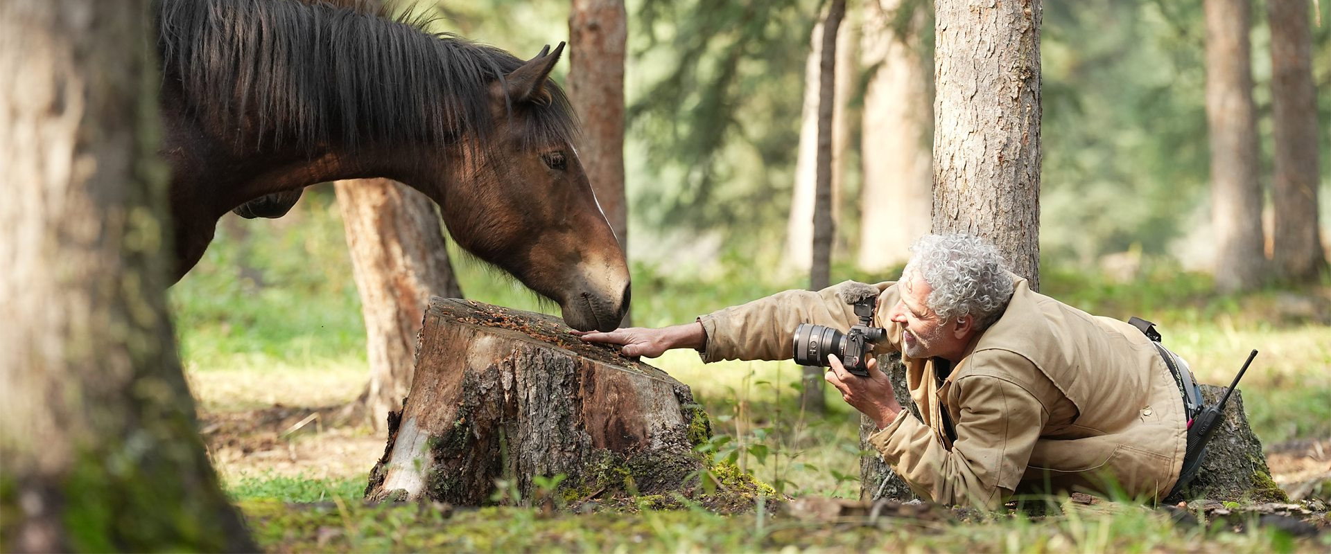Wild Horses, the Rockies and Me backdrop