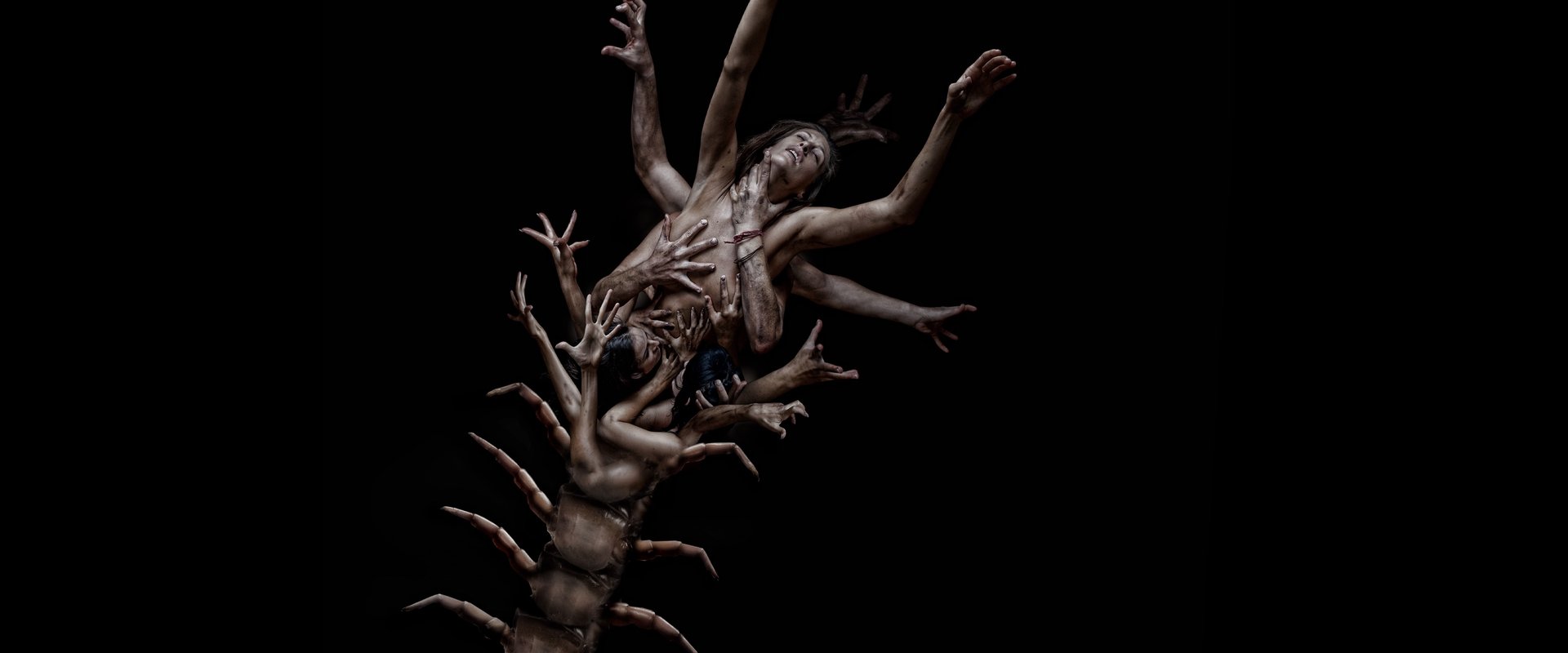 The Human Centipede 2 (Full Sequence) backdrop
