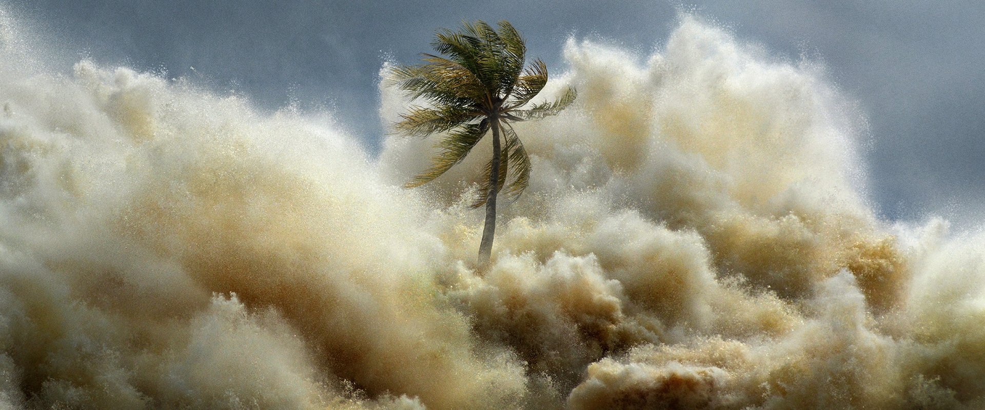 Tsunami: Race Against Time