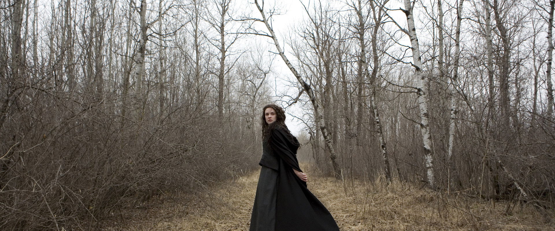 Black Field backdrop