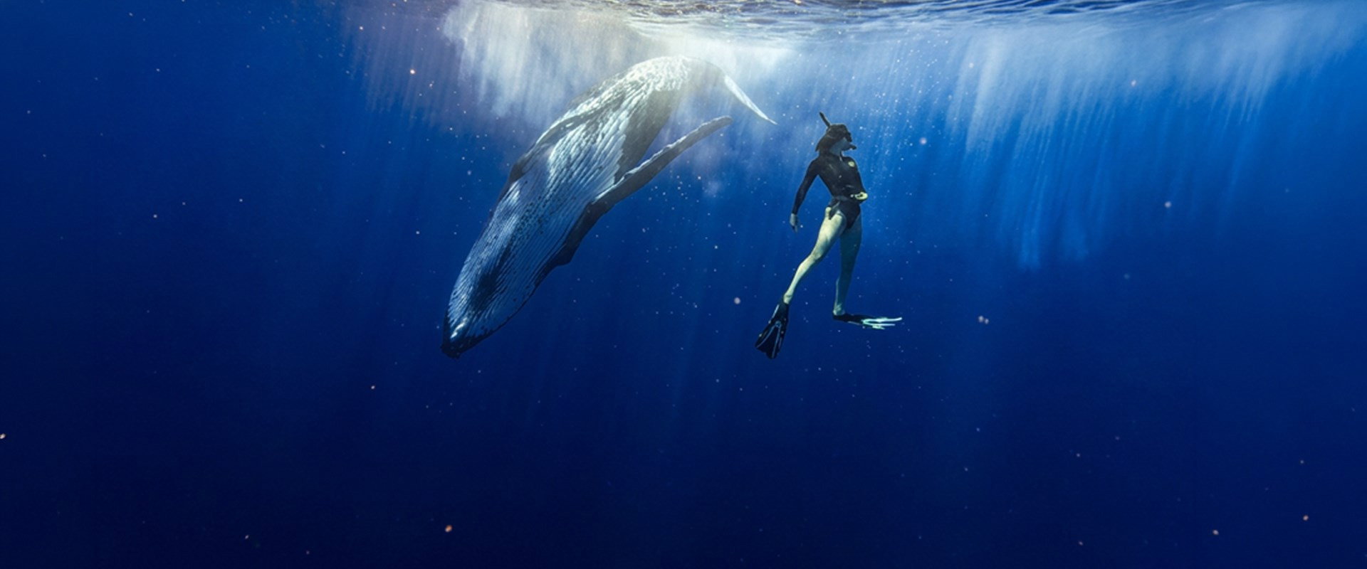 Le souffle de vie backdrop