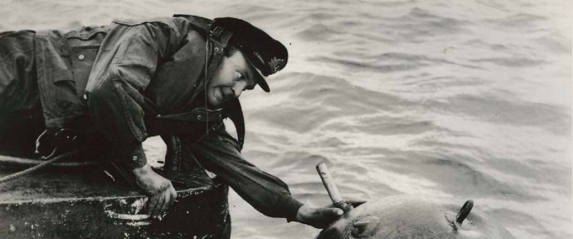 Above Us the Waves backdrop