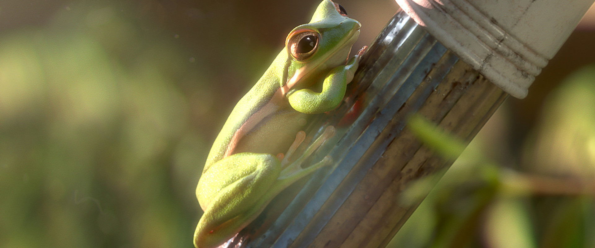 Garden Party backdrop