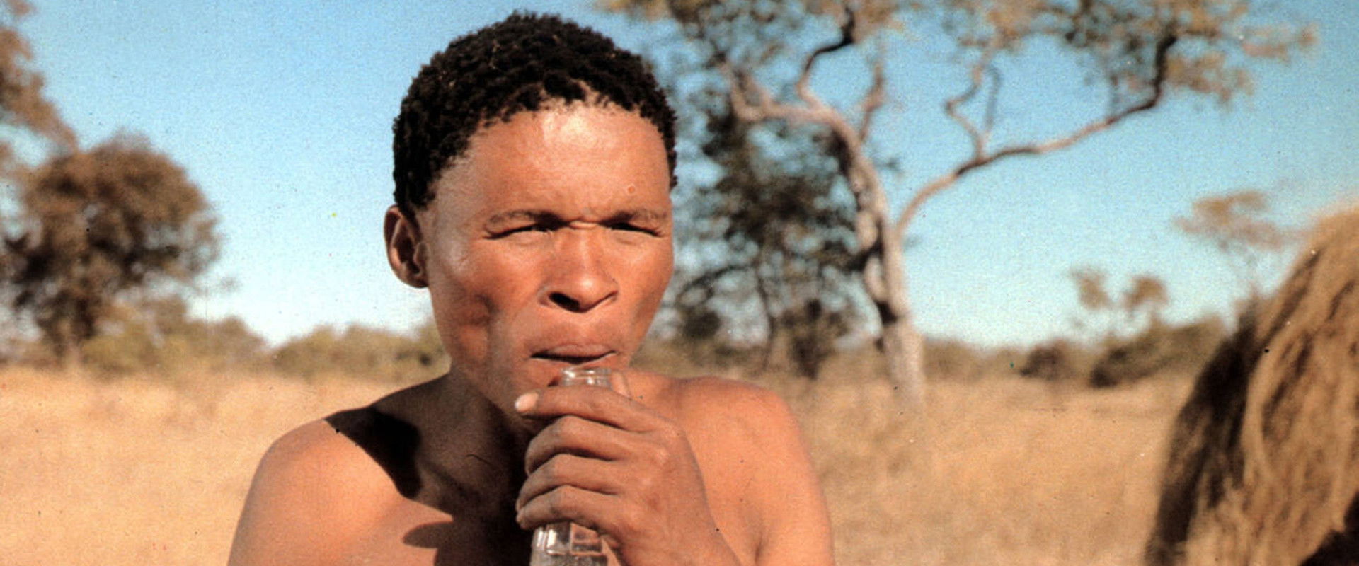 The Gods Must Be Crazy backdrop