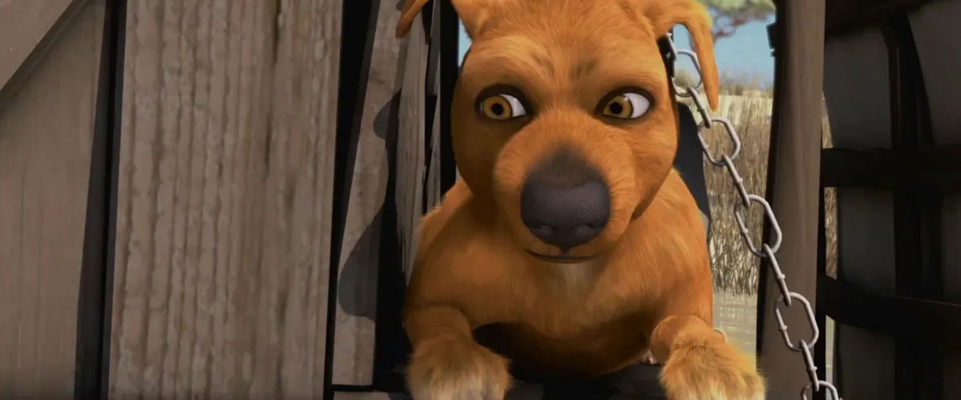 Jock the Hero Dog backdrop