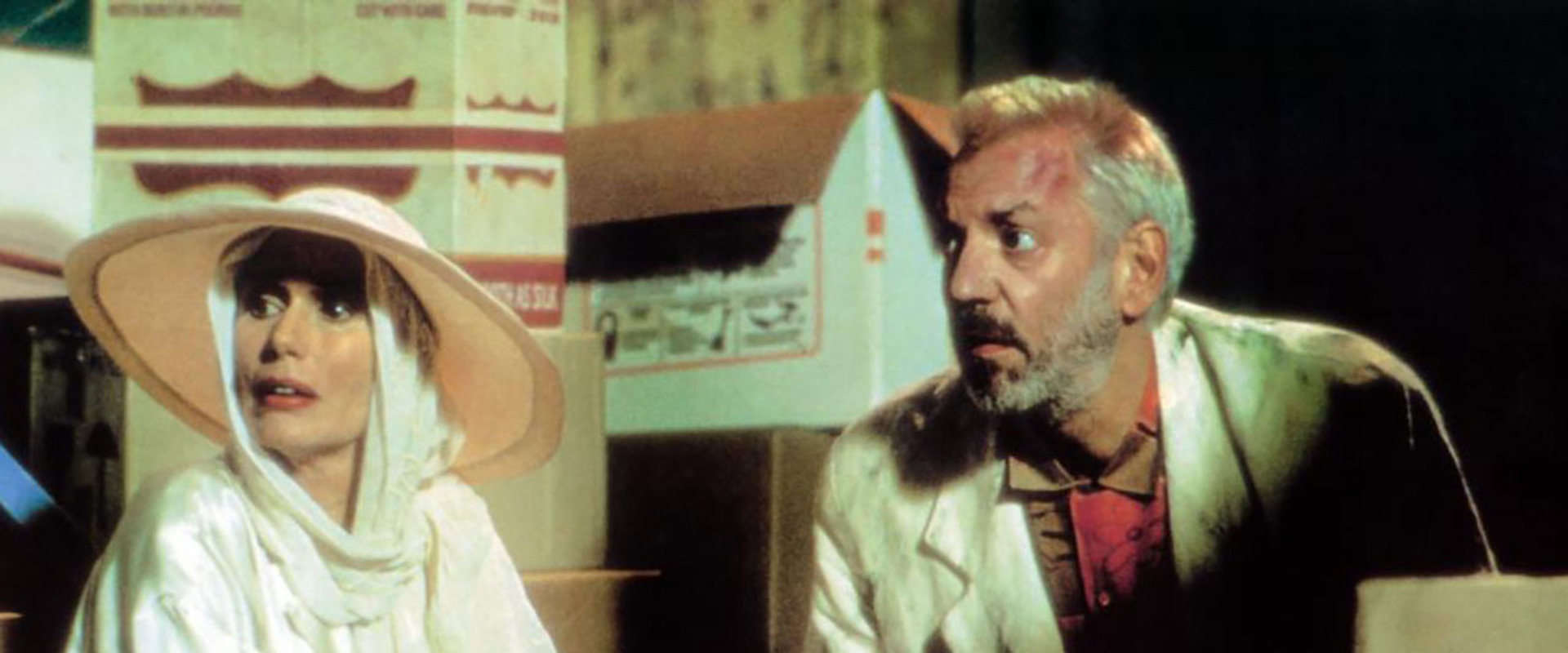 Younger and Younger backdrop