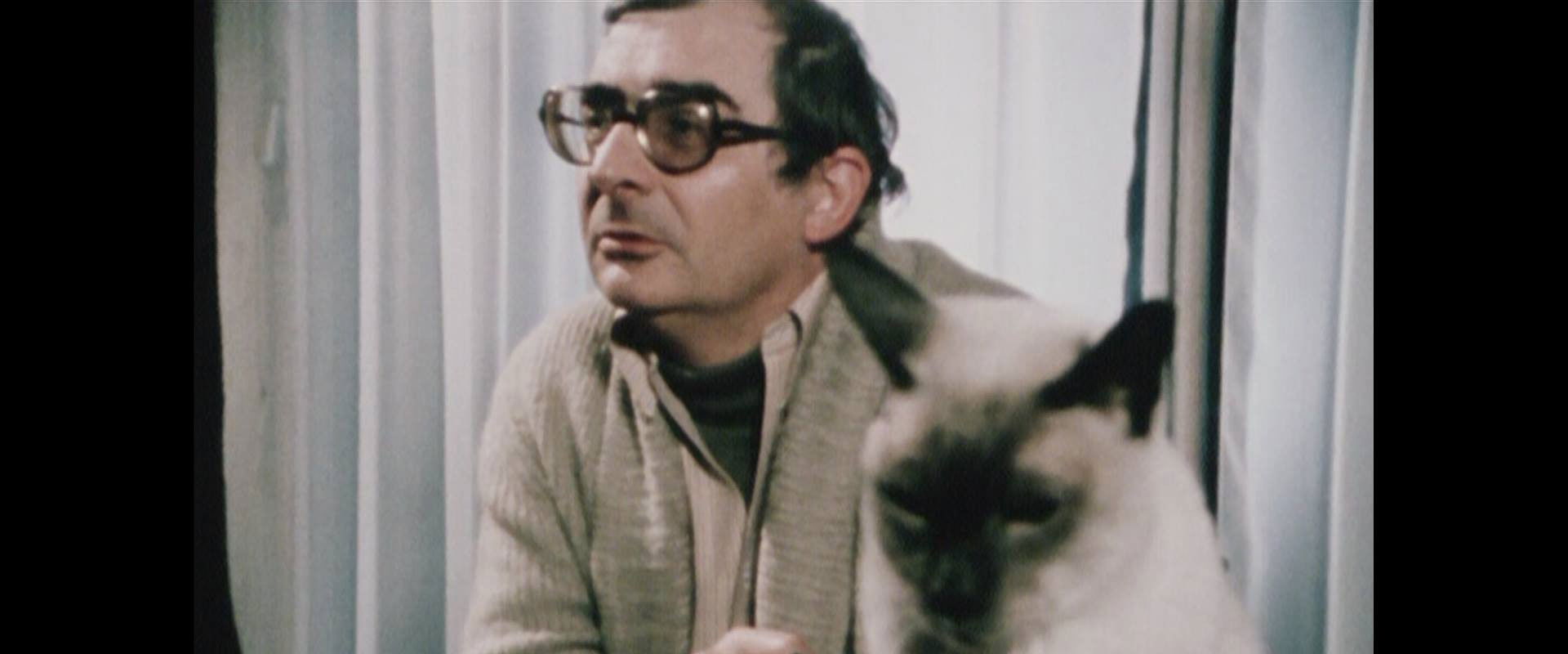 Claude Chabrol, the Maverick backdrop