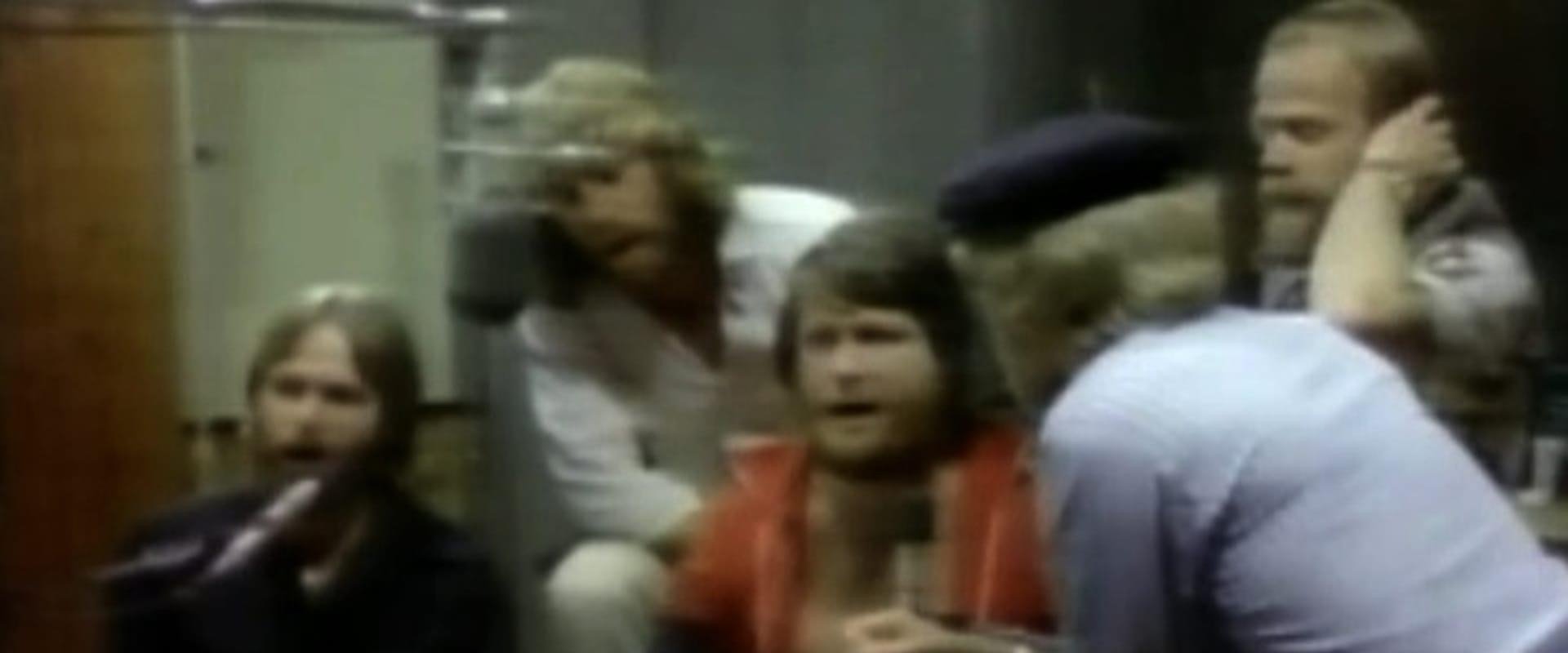 Beach Boys: Surfin' Success backdrop