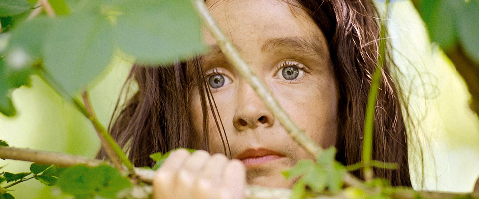 Tinke the Wolfgirl backdrop