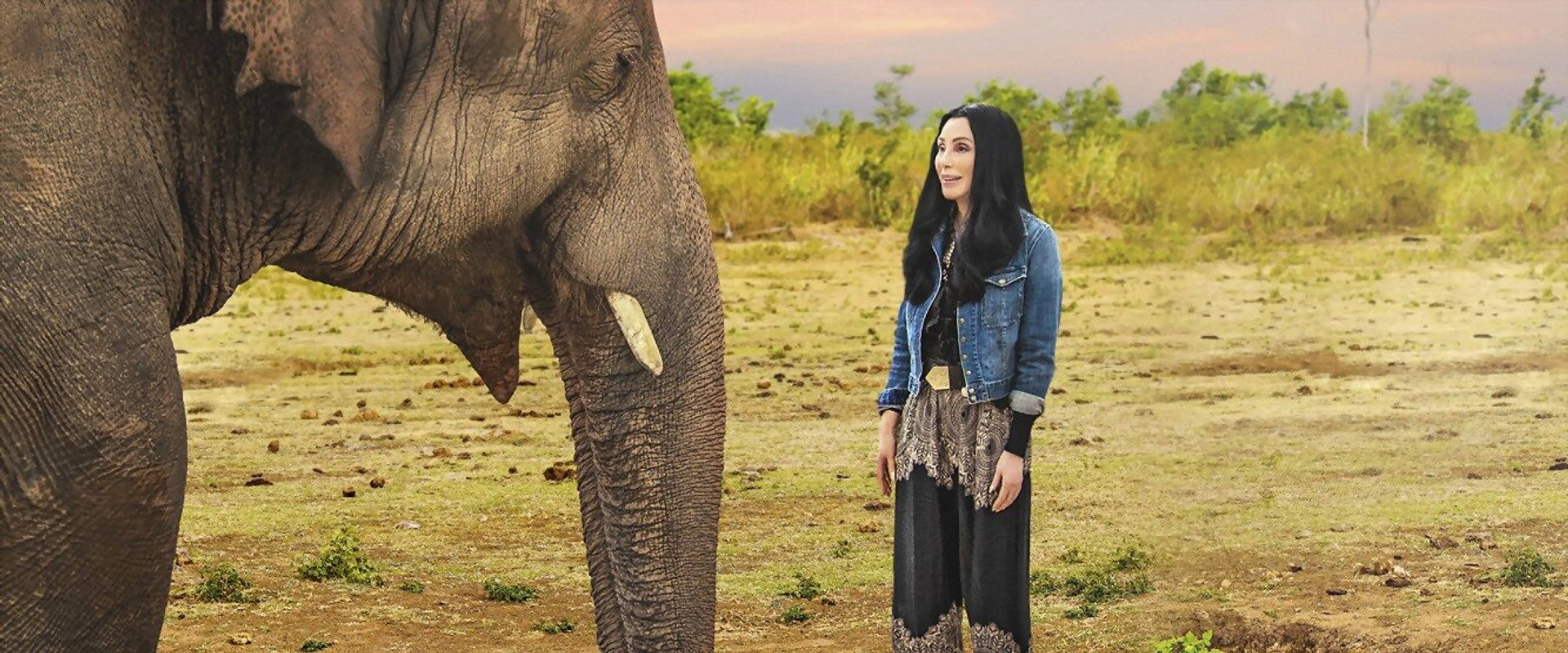 Cher & the Loneliest Elephant backdrop