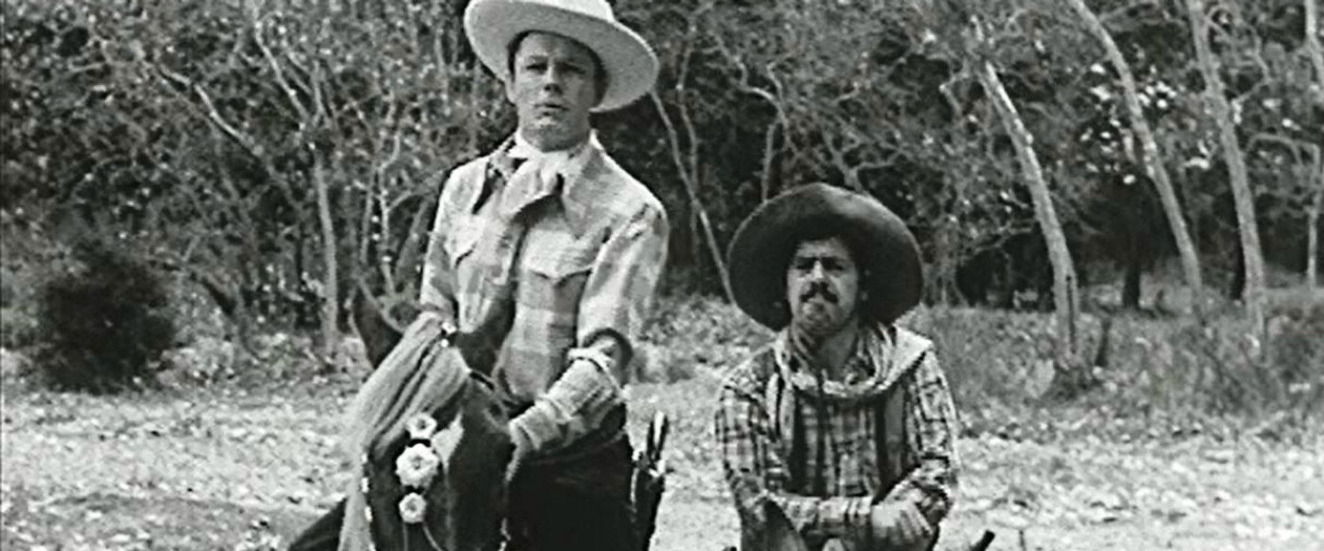 Western Mail backdrop