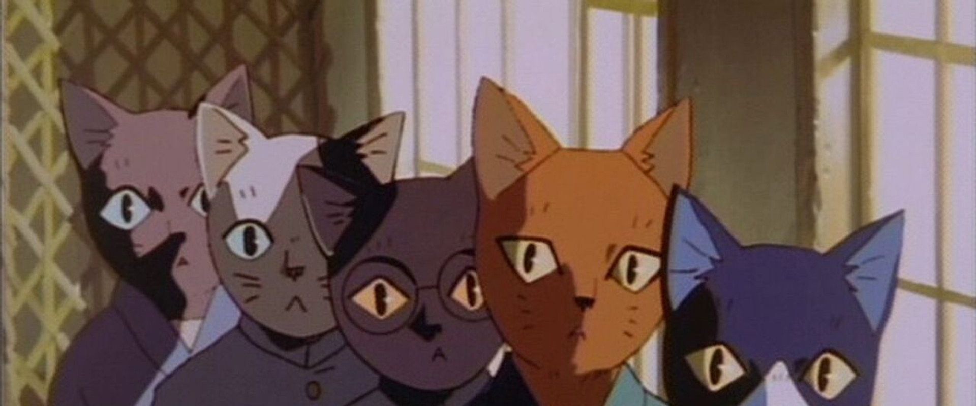 Spring and Chaos backdrop