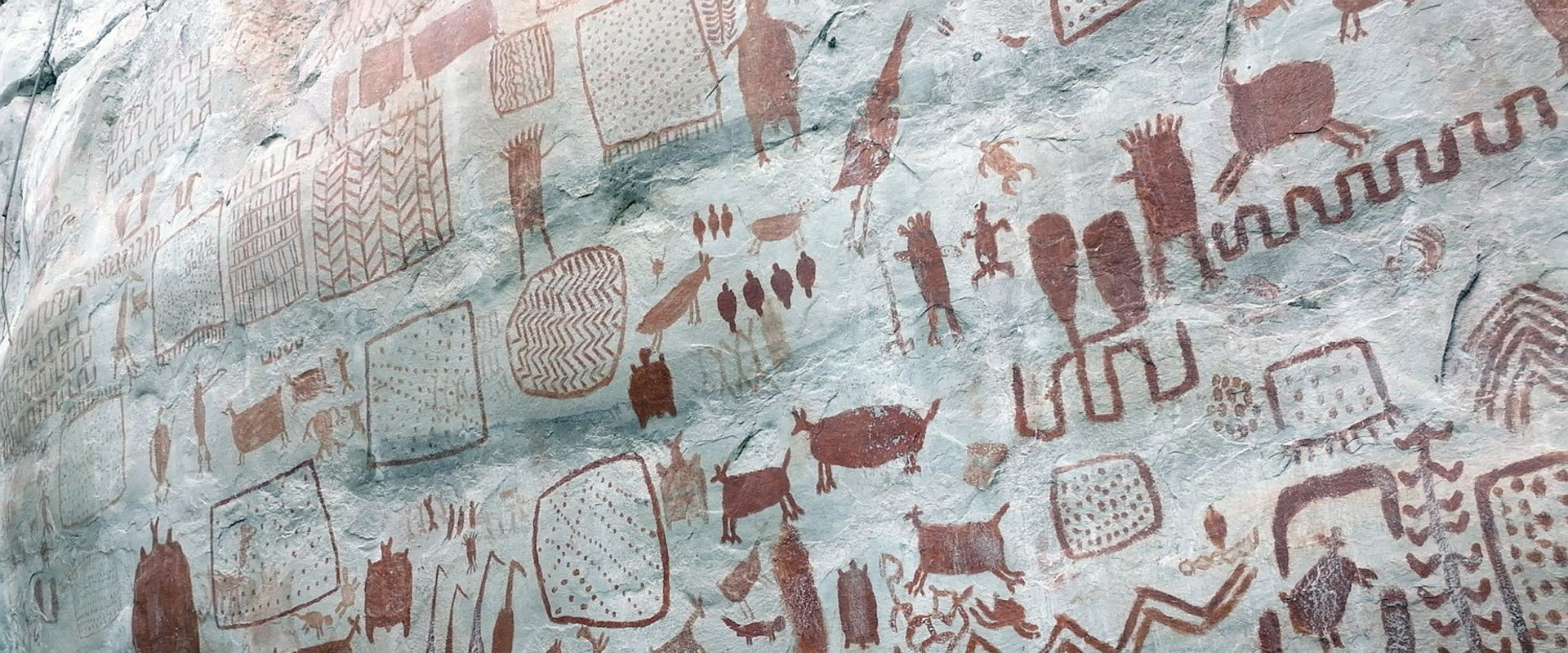 Les secrets des fresques d'Amazonie backdrop