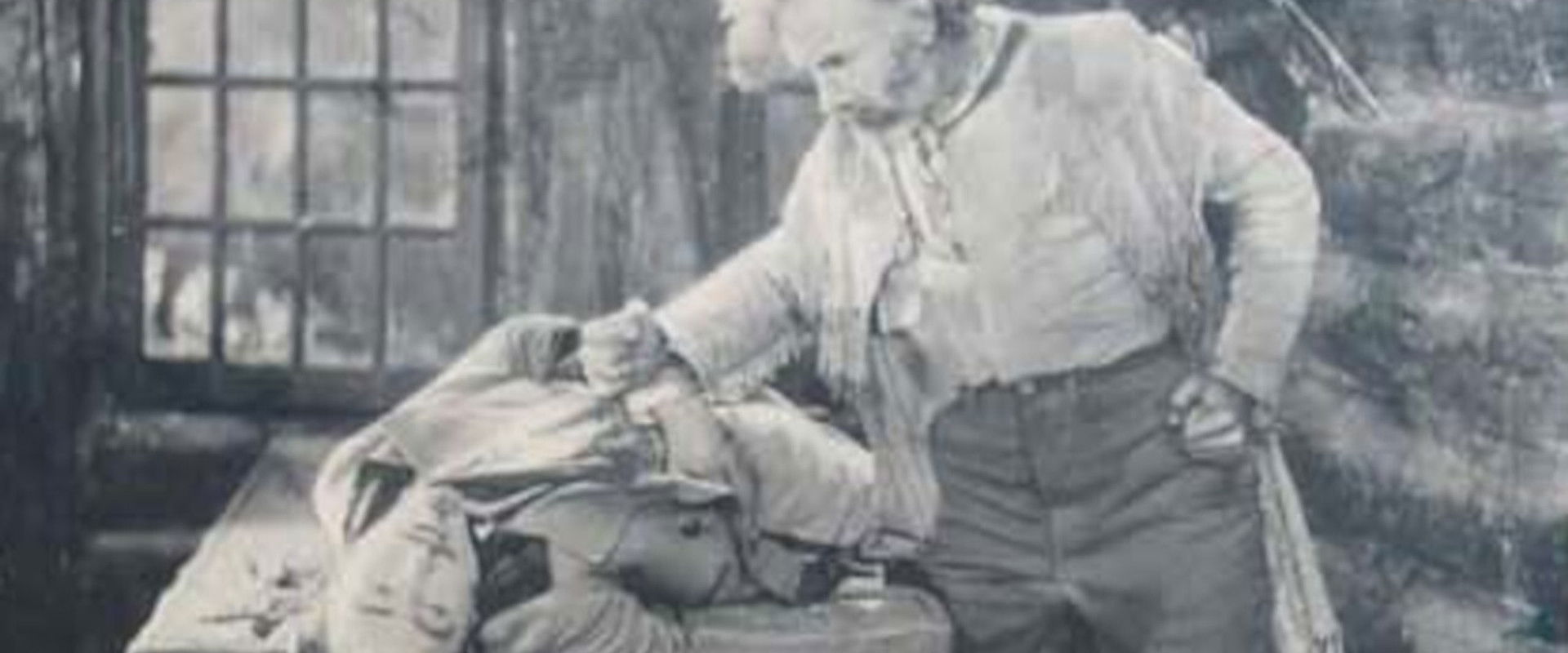 California in '49 backdrop