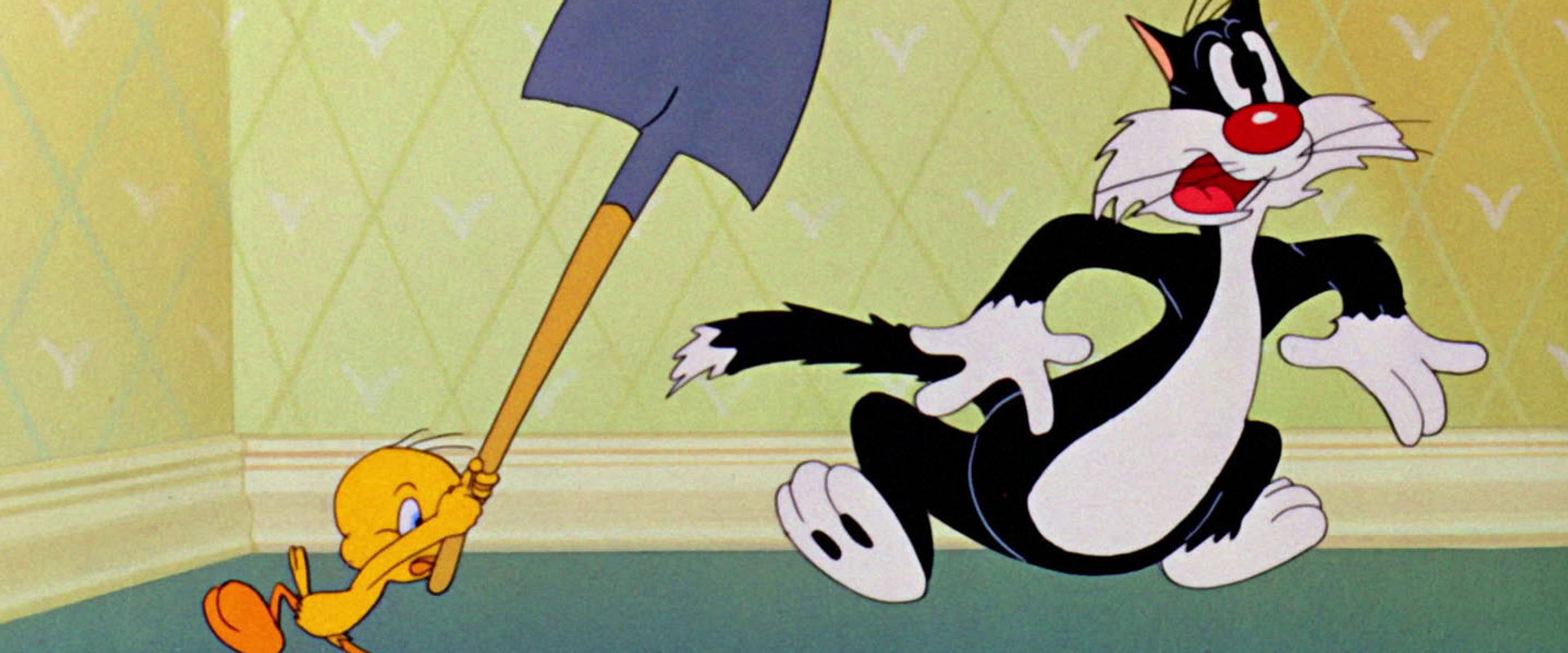 Tweetie Pie backdrop