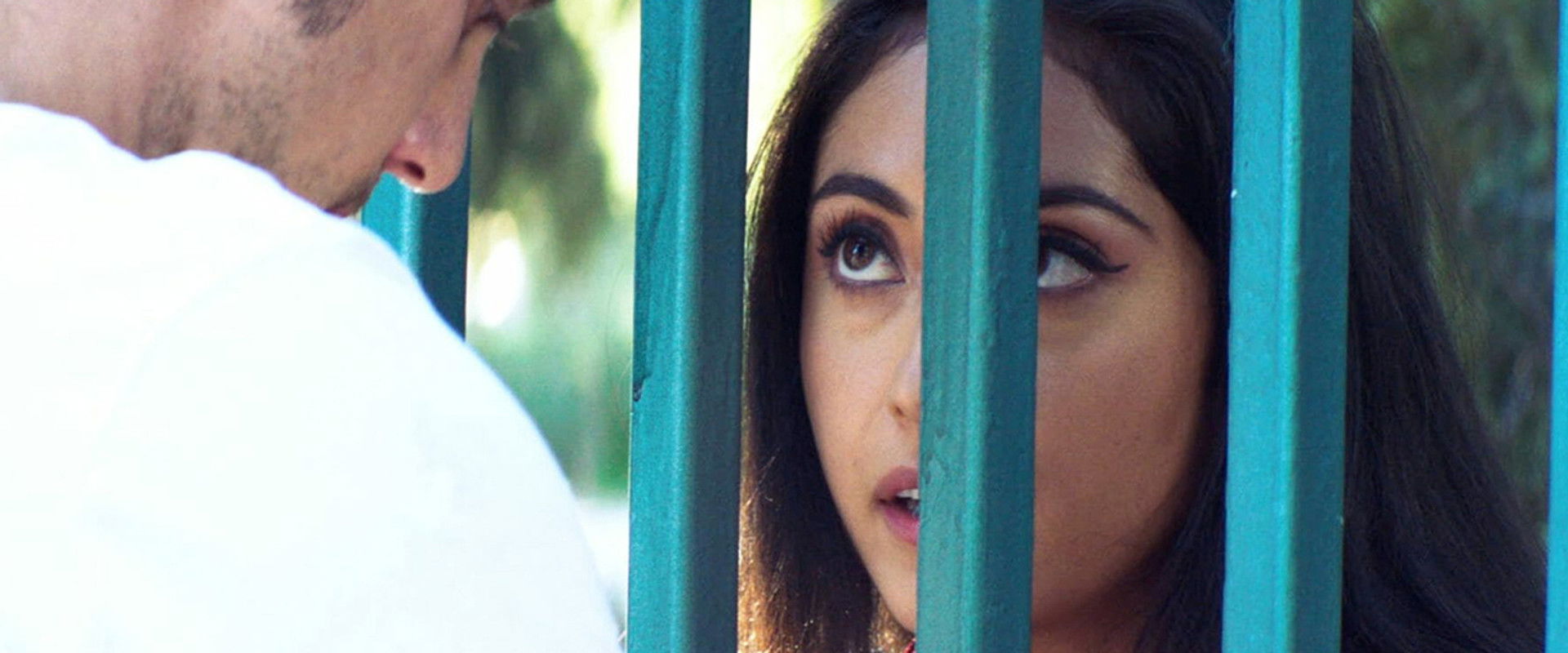 The Wall of Mexico backdrop