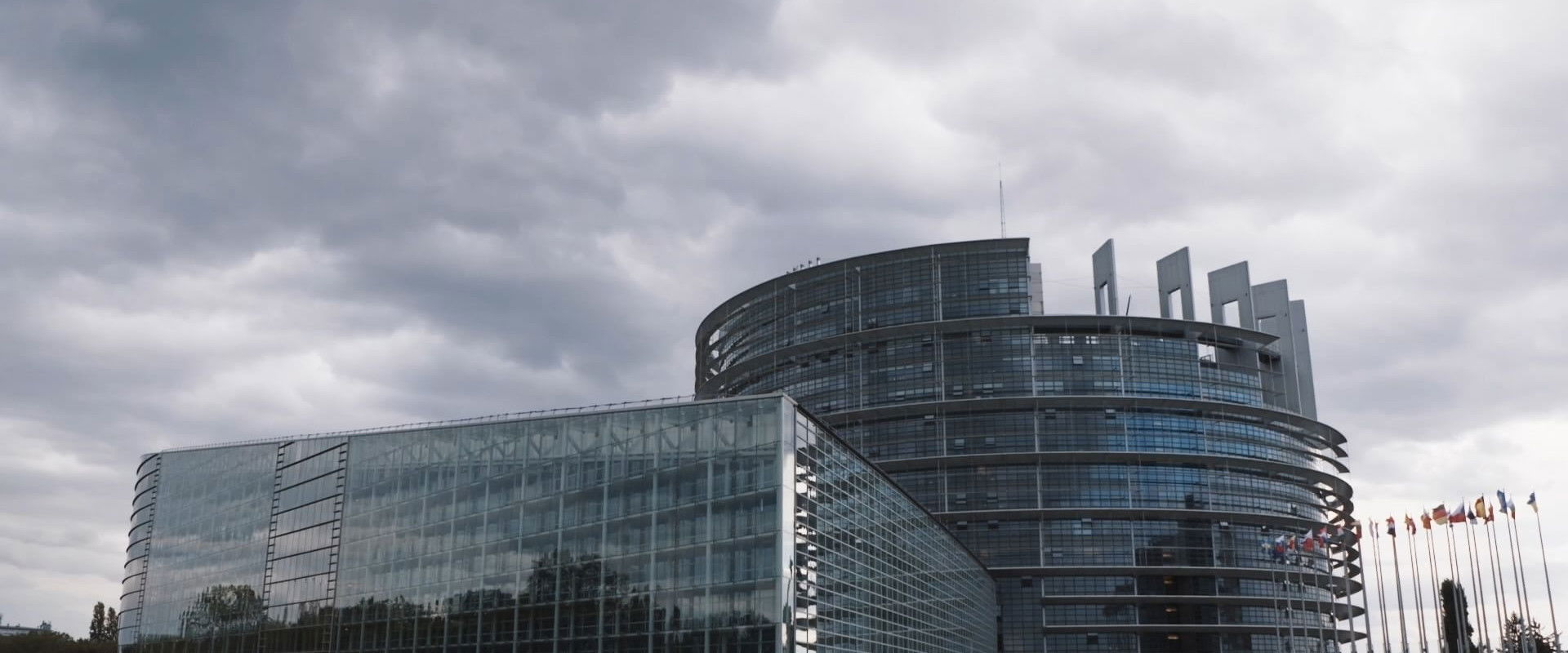 Gekaufte Politik? Europa in der Korruptionskrise backdrop