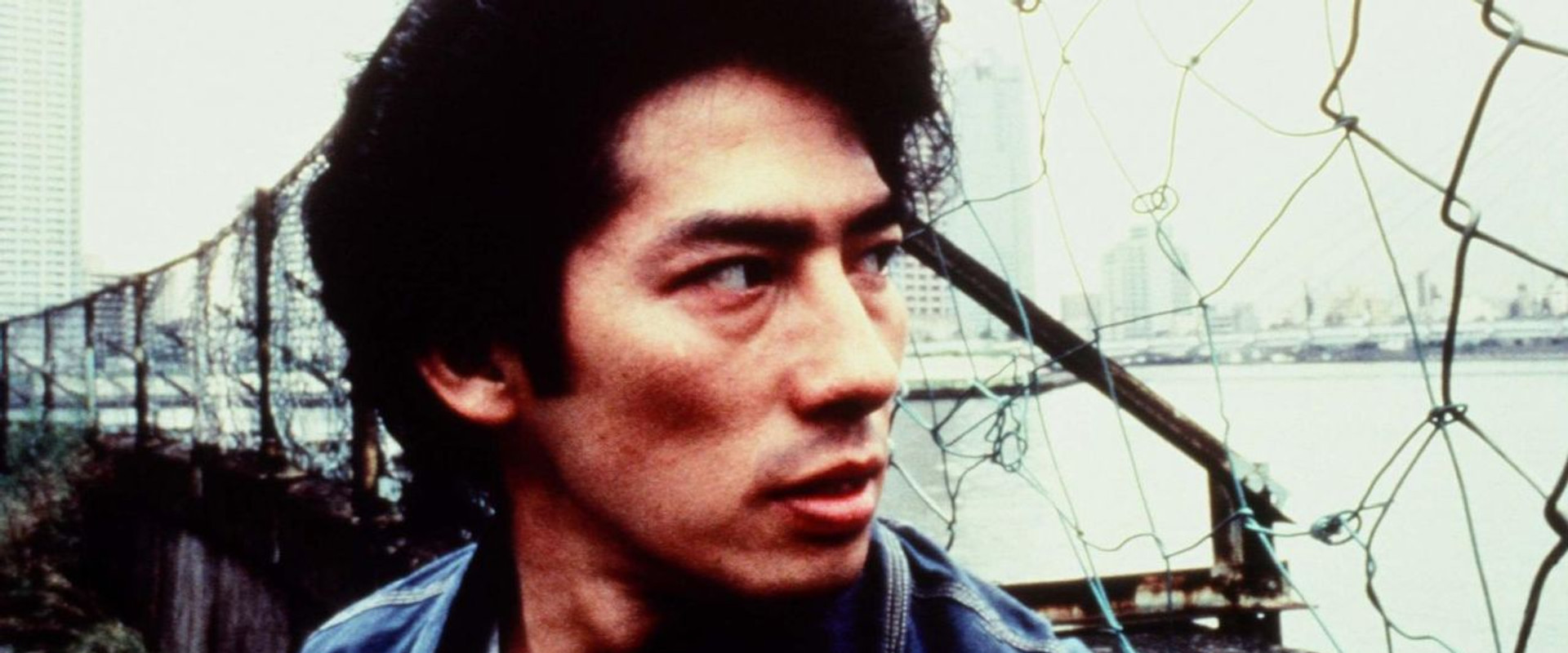 The City That Never Sleeps: Shinjuku Shark backdrop