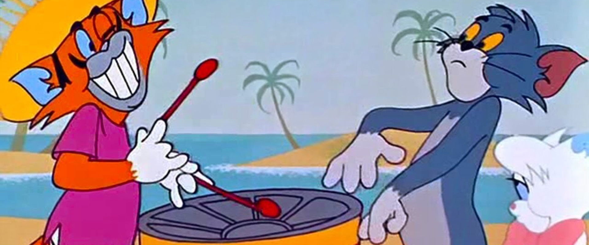 Calypso Cat backdrop