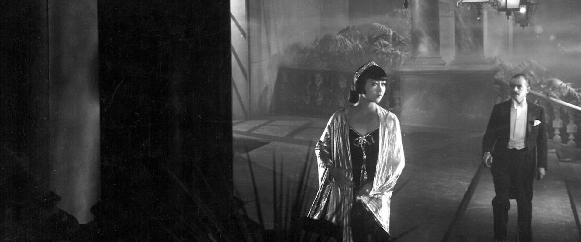 Pavement Butterfly backdrop