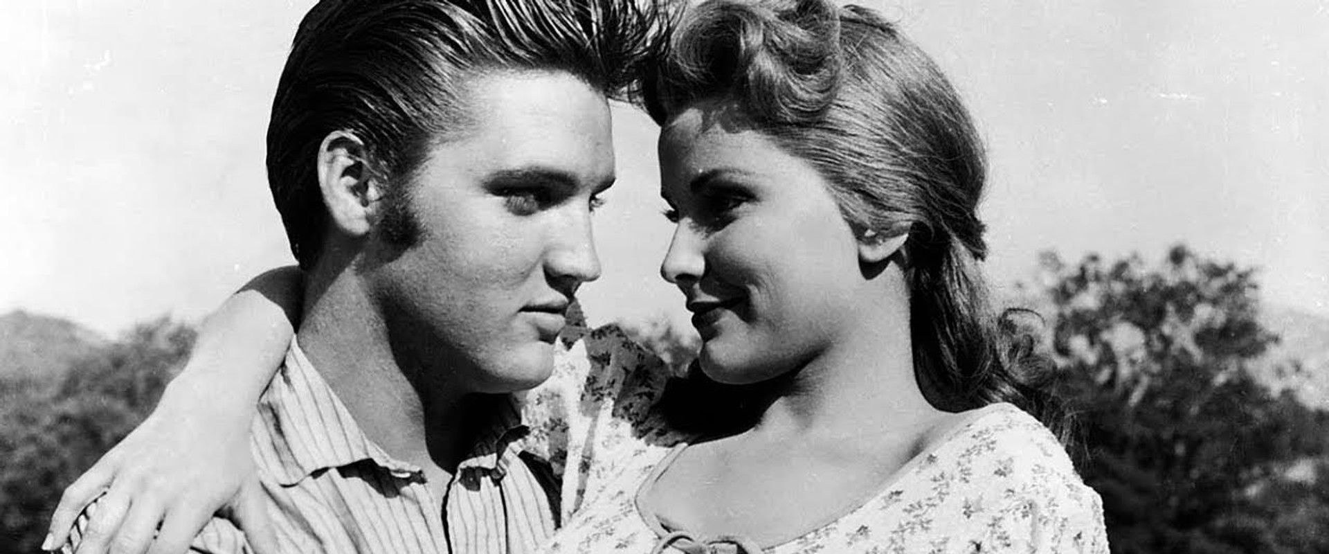 Love Me Tender backdrop