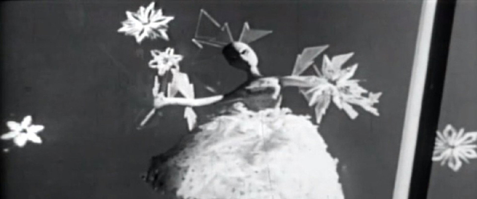 Suzy Snowflake backdrop