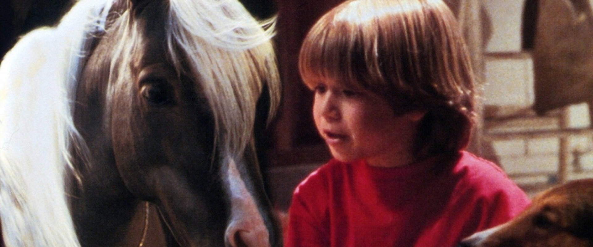 The Adventures of Ragtime backdrop