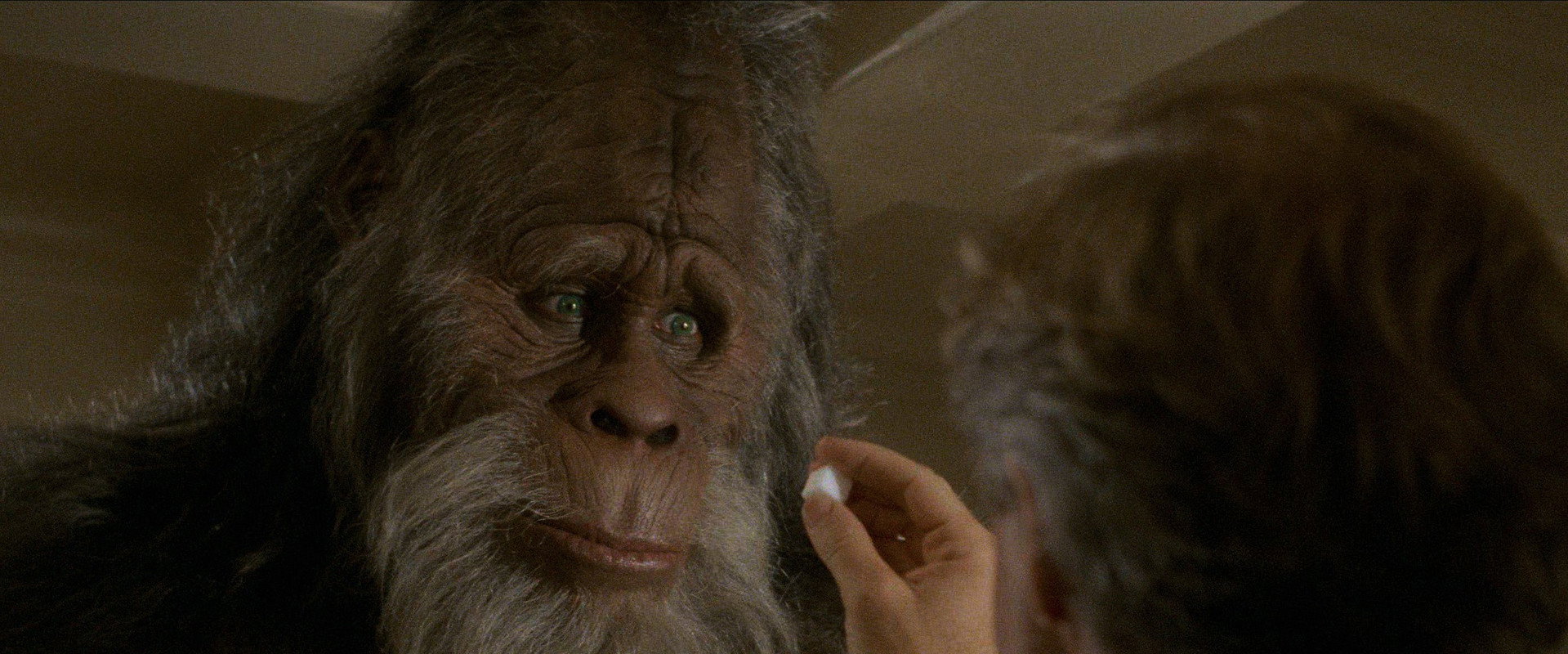 Harry and the Hendersons backdrop