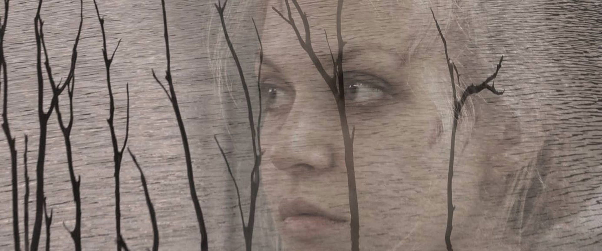 The Fear of Darkness backdrop