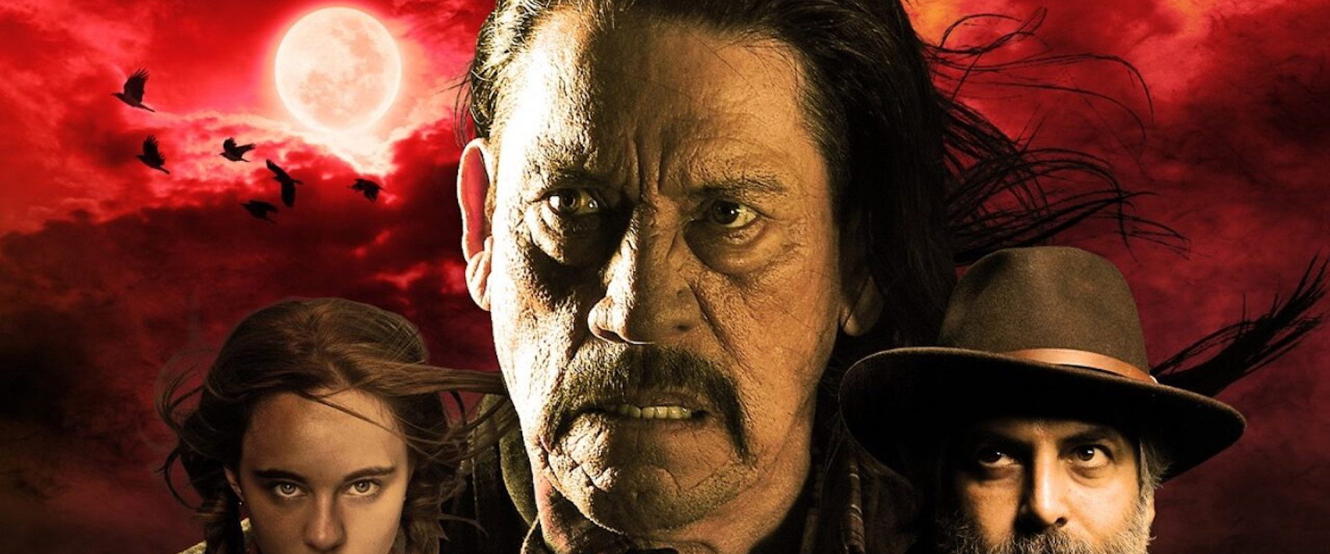 Shadow of the Cat backdrop