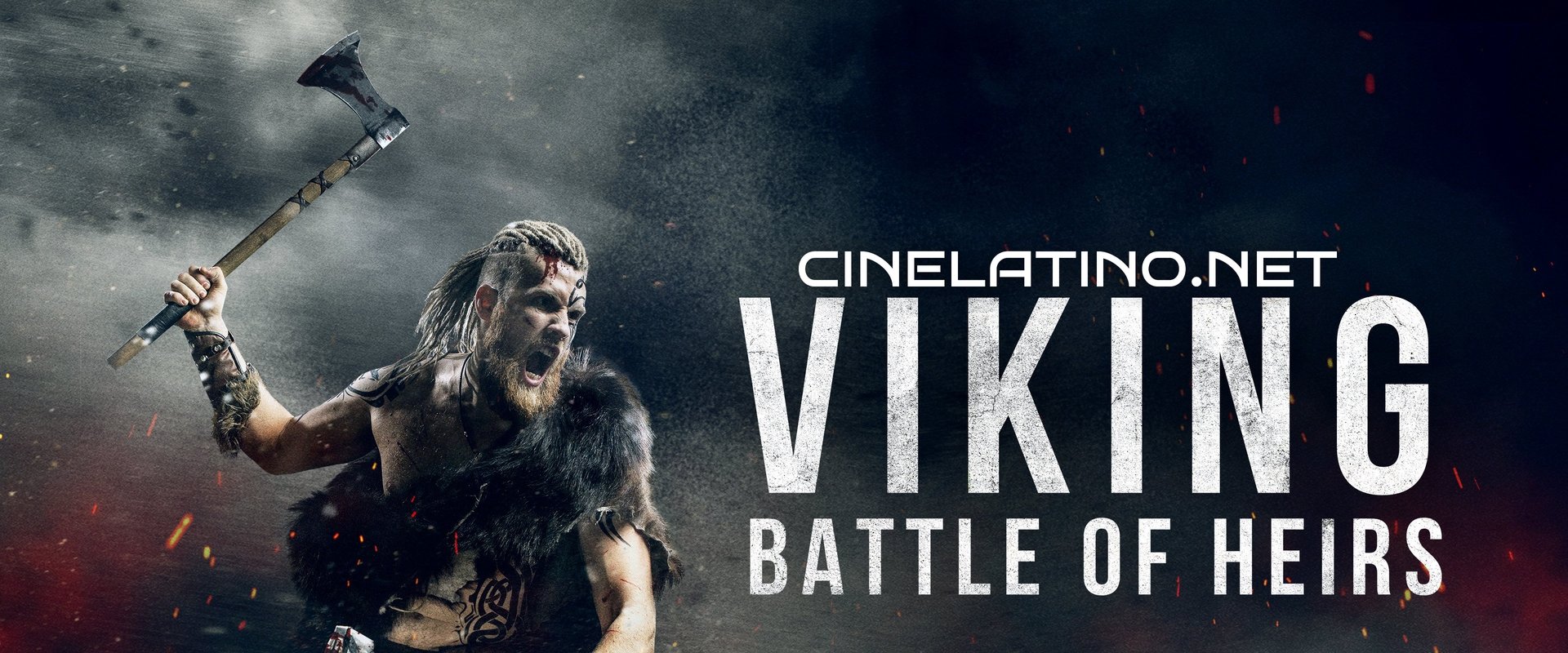 Vikings: Battle of Heirs backdrop