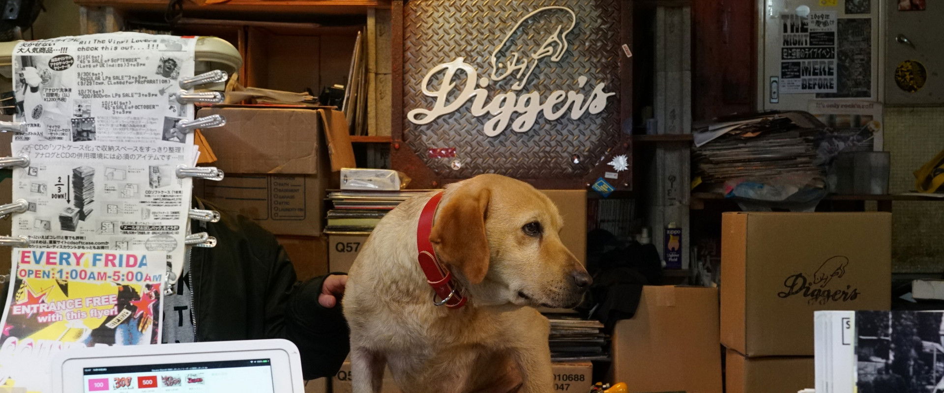 Tonkatsu DJ Agetaro backdrop