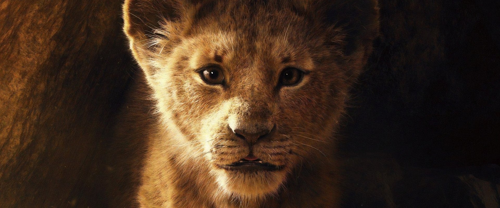 The Lion King backdrop