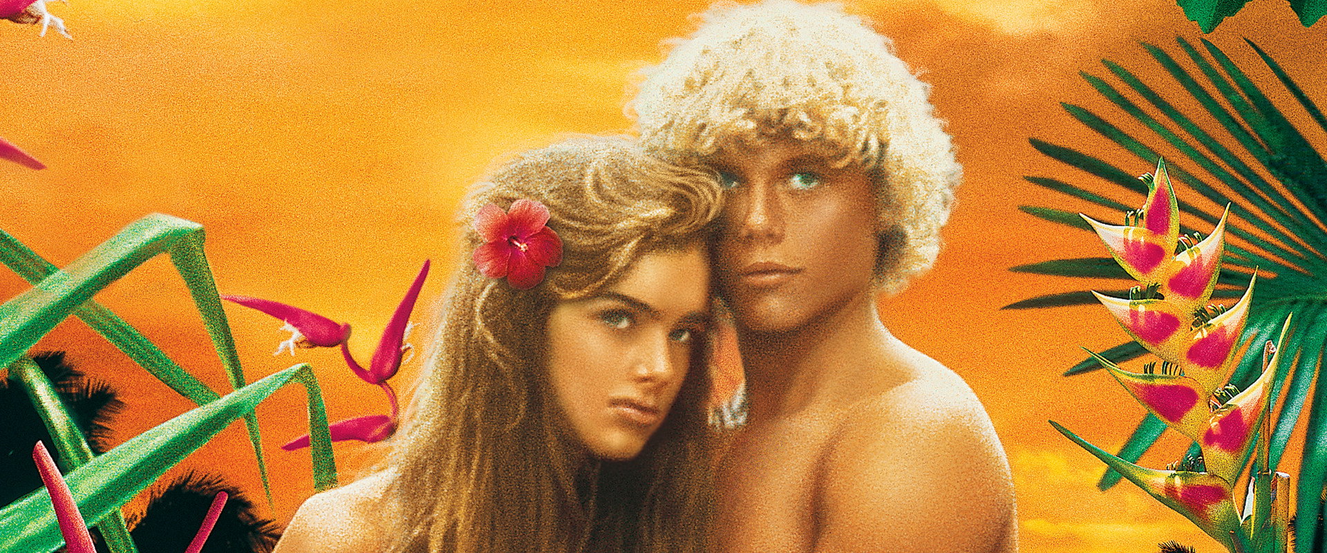 The Blue Lagoon backdrop