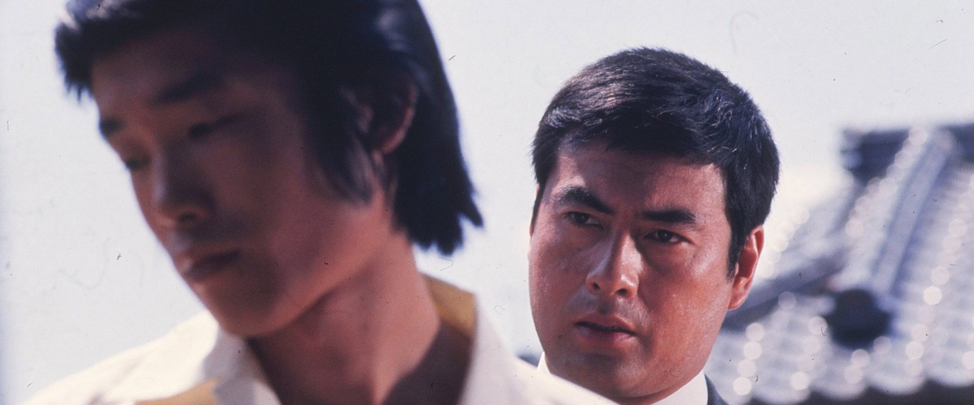 The Perennial Weed backdrop