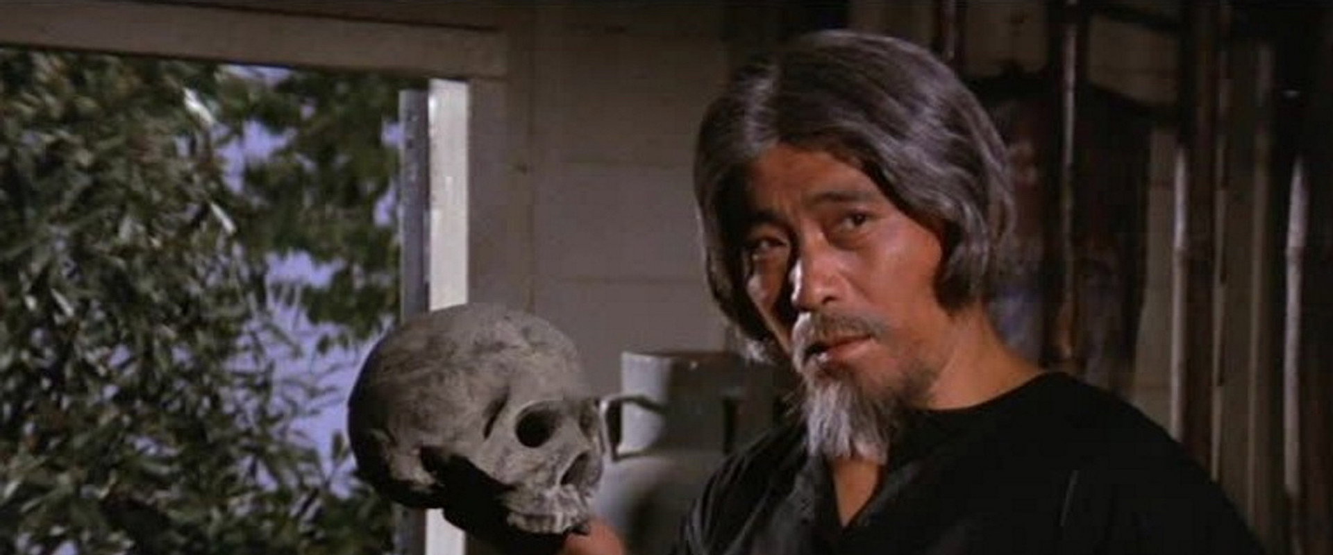 Black Magic backdrop