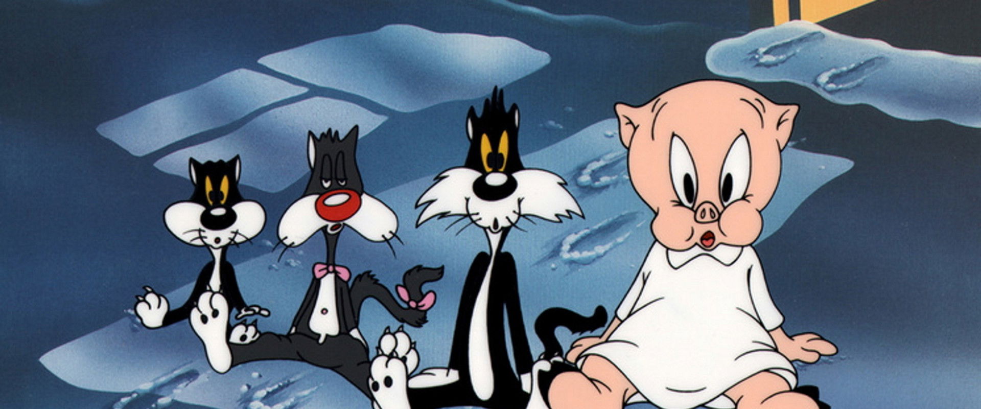 Kitty Kornered backdrop