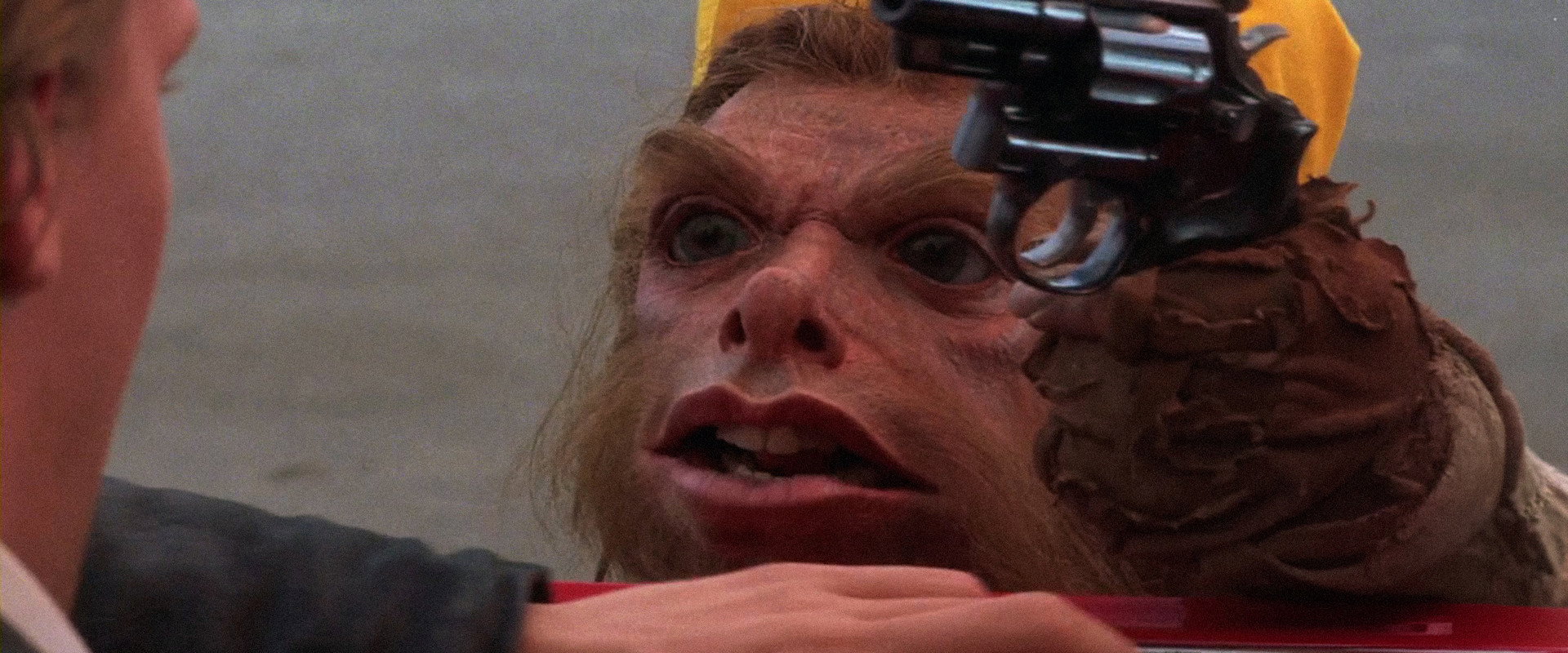 A Gnome Named Gnorm backdrop