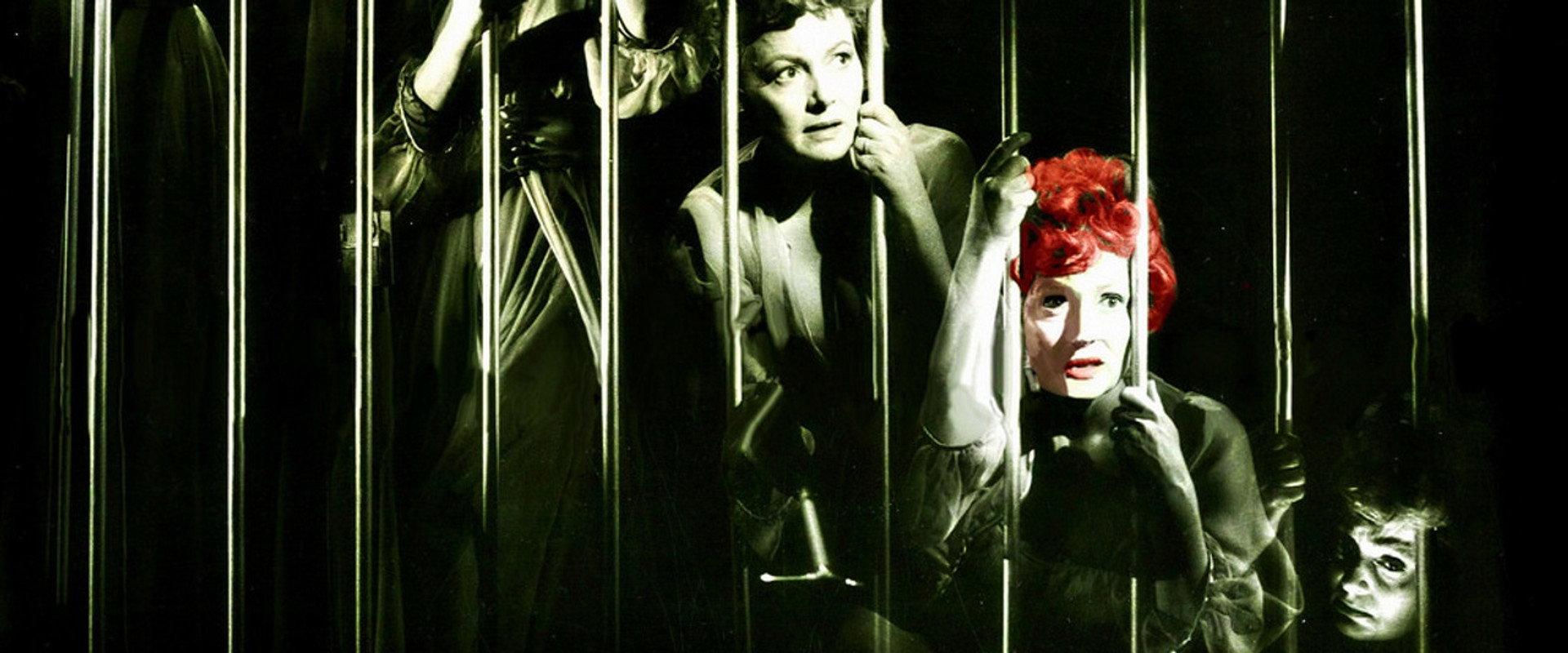 Lady in a Cage backdrop