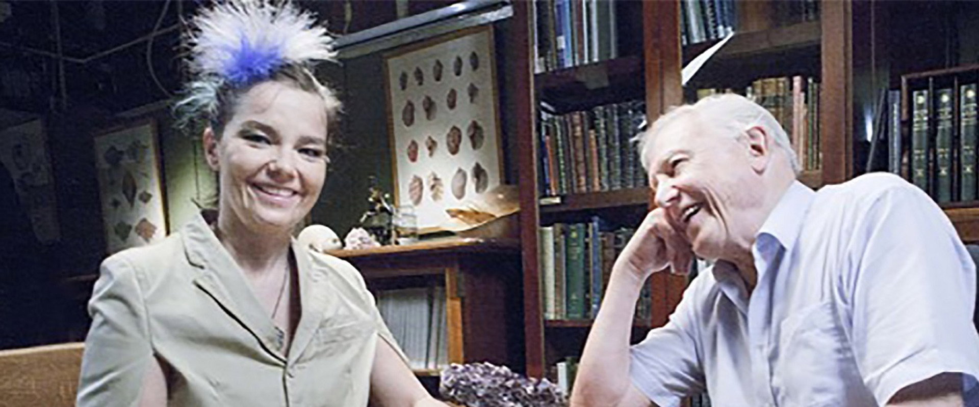 When Björk Met Attenborough backdrop