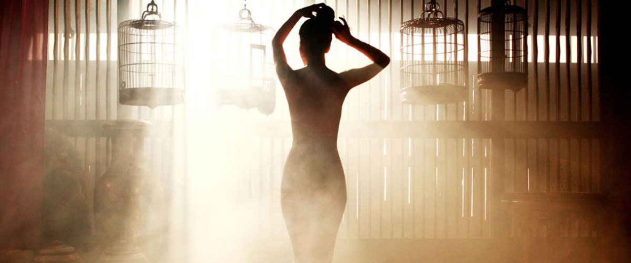 Portrait of a Beauty backdrop