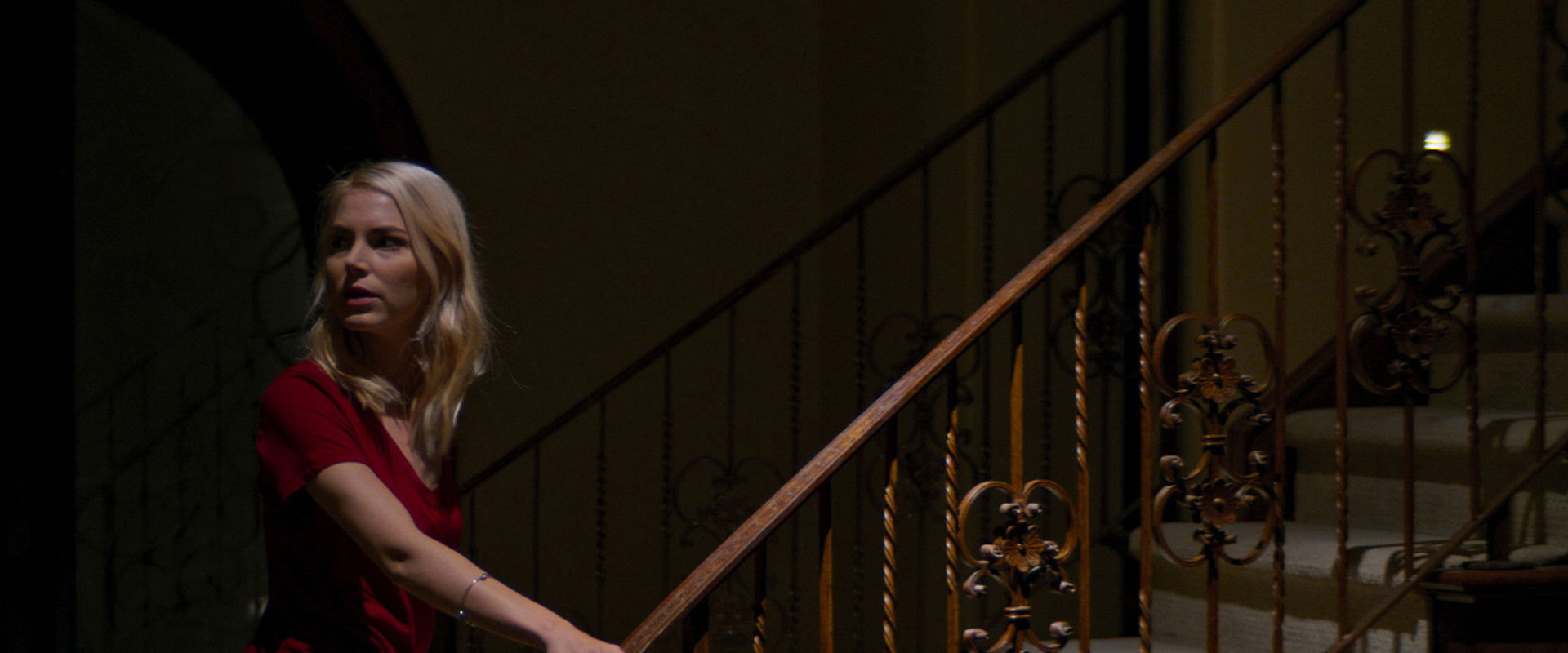 616 Wilford Lane backdrop