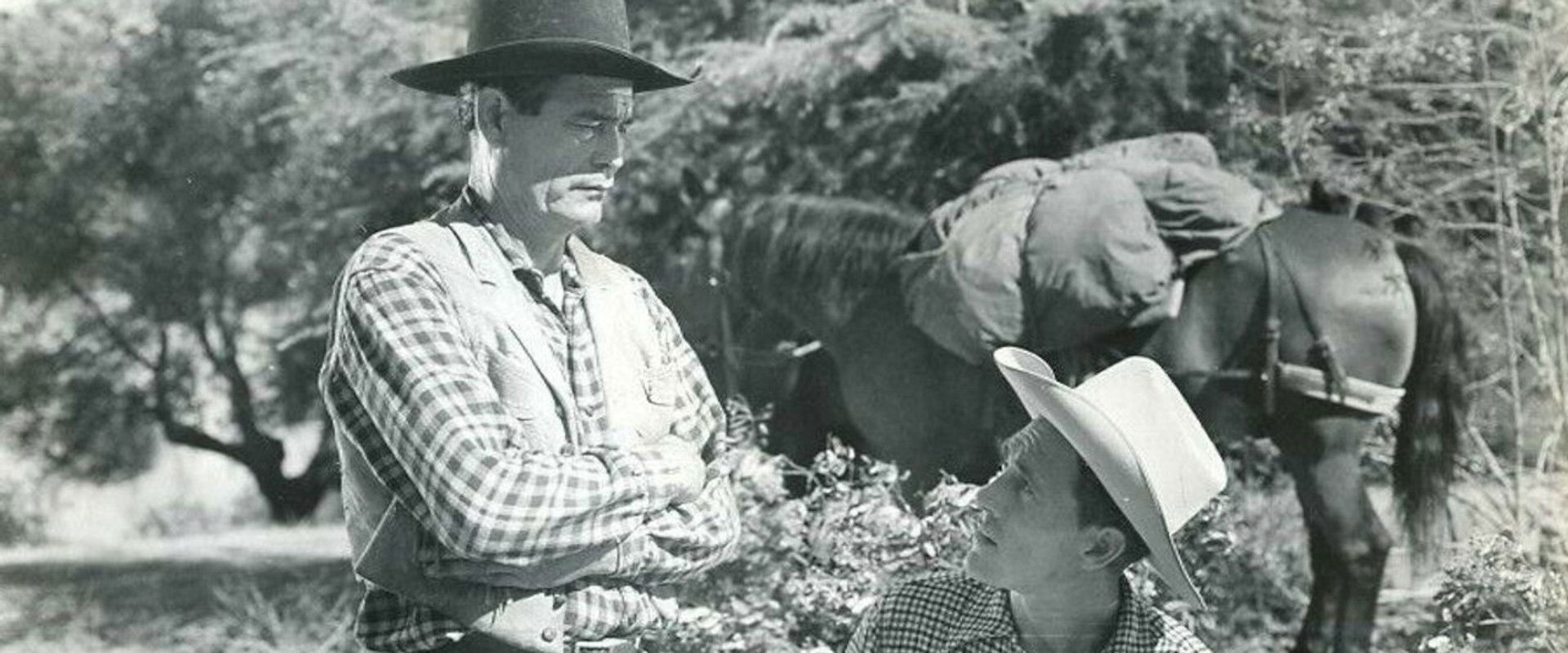 Call of the Forest backdrop