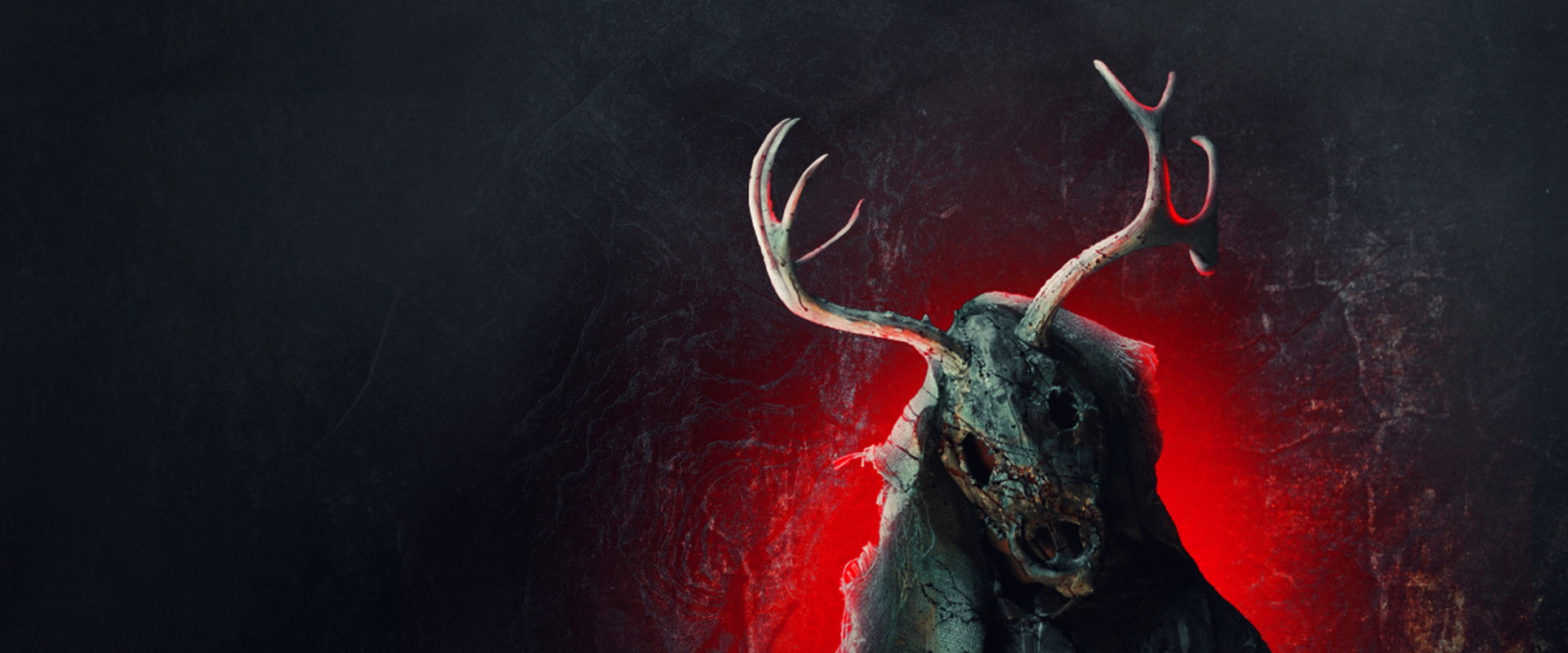 Fire Island backdrop