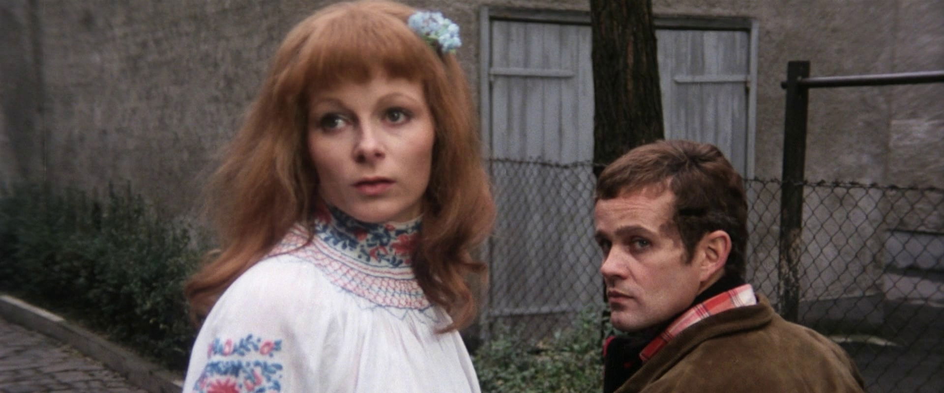 Mosquito the Rapist backdrop