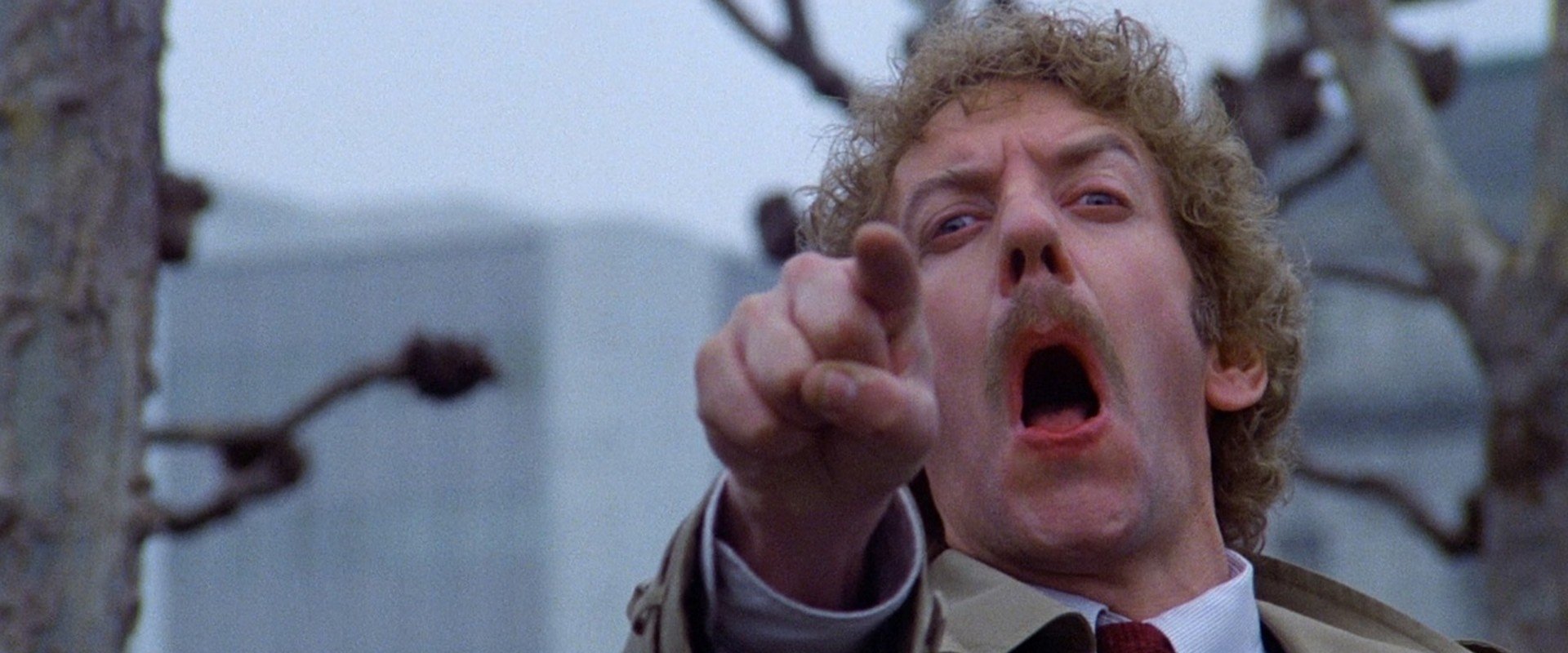Invasion of the Body Snatchers backdrop