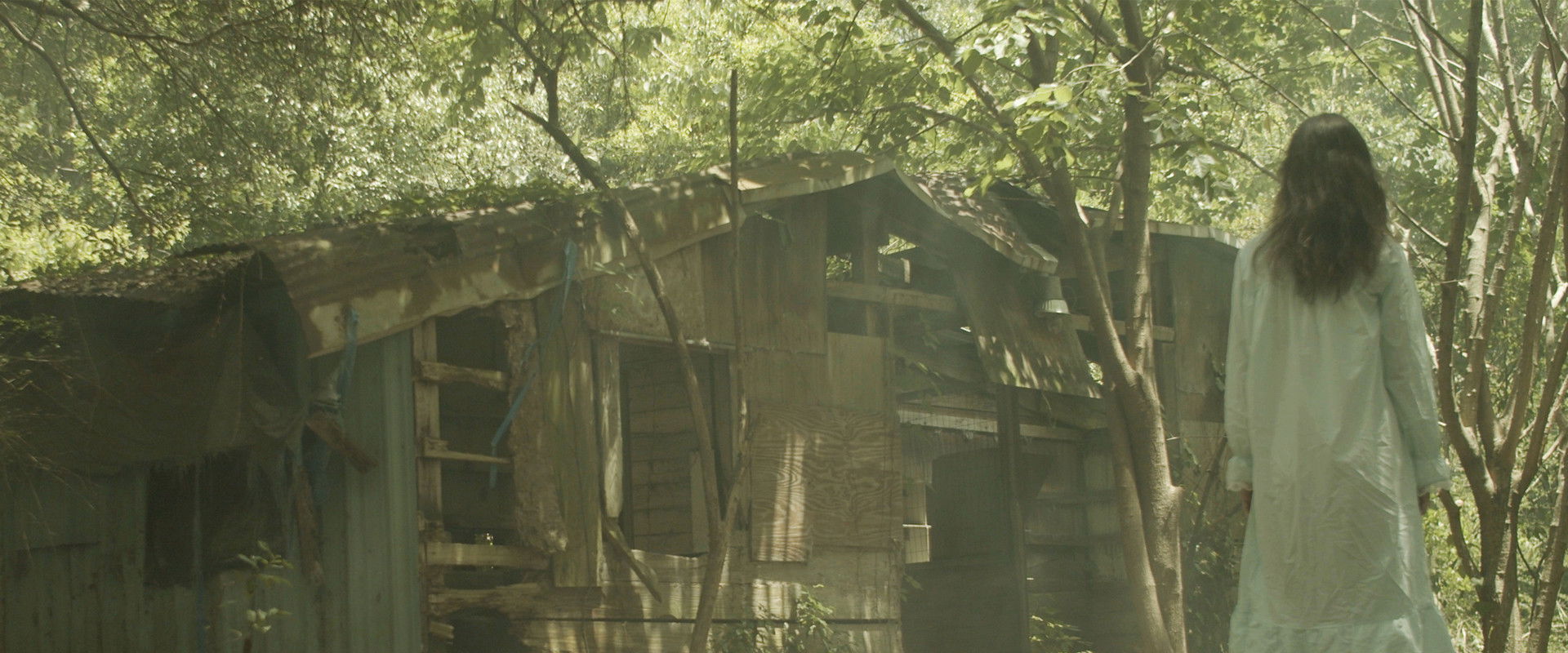 Royal Jelly backdrop