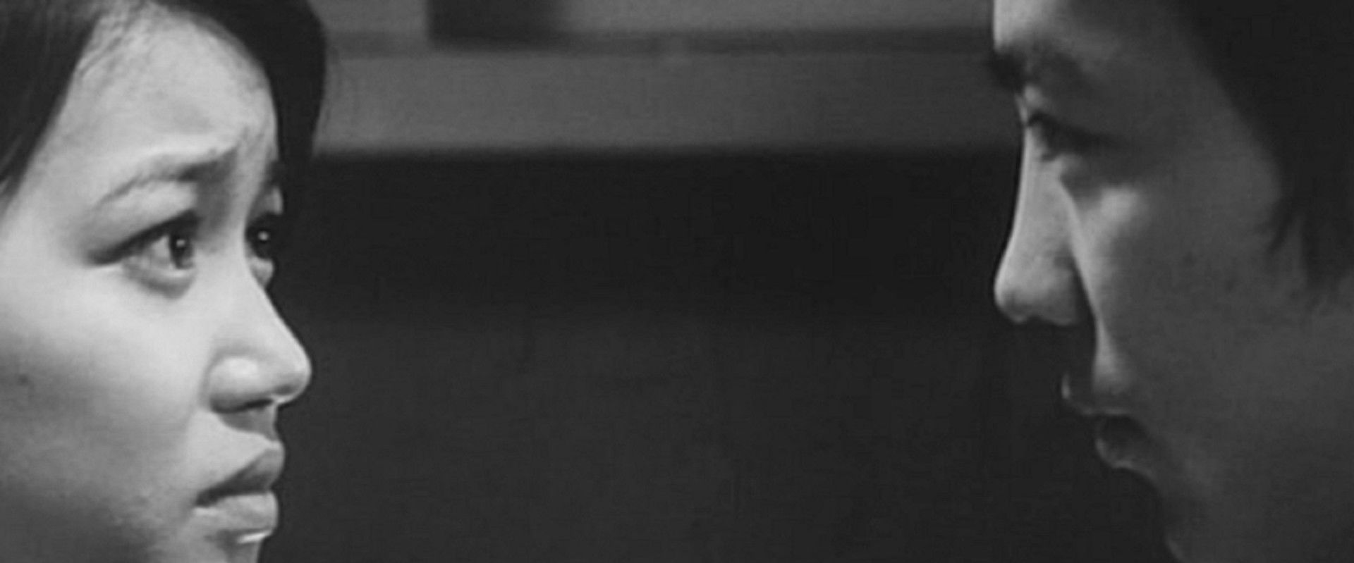 Violated Angels backdrop