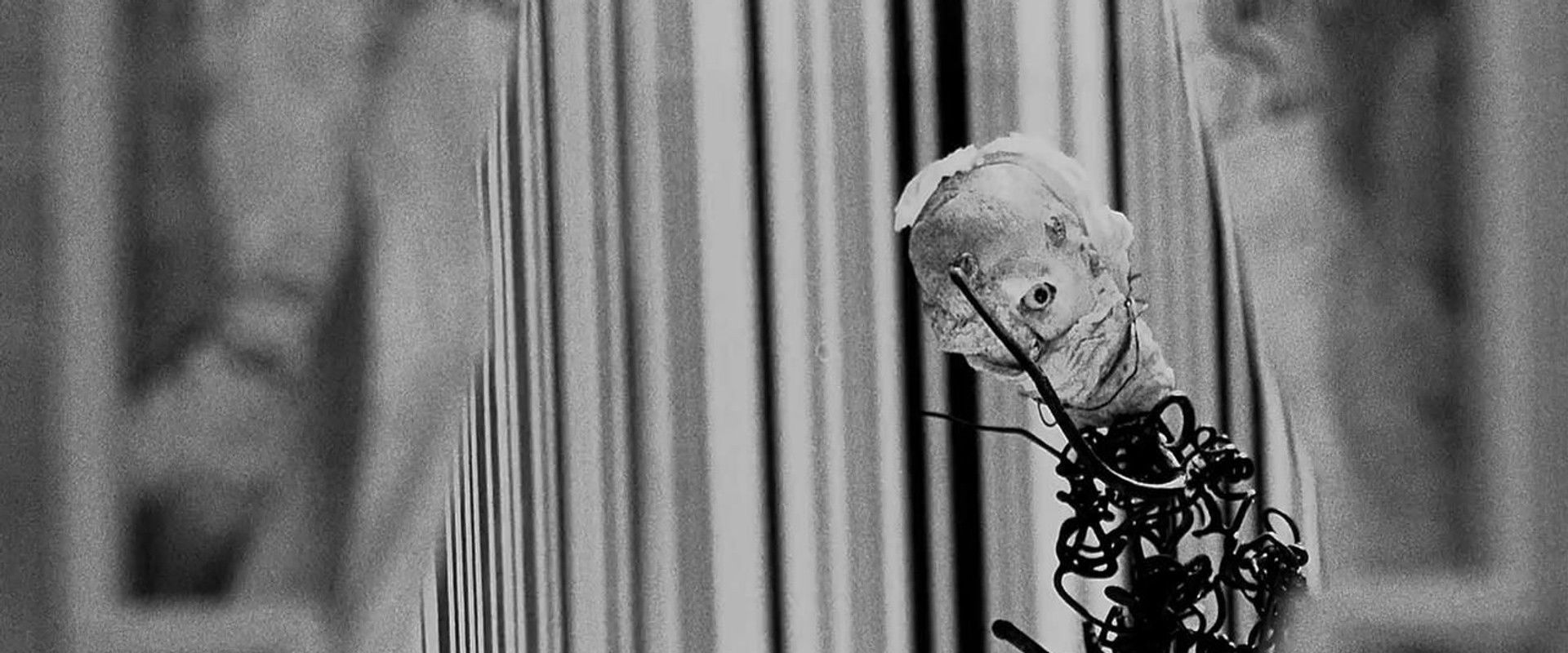 Rehearsals for Extinct Anatomies backdrop